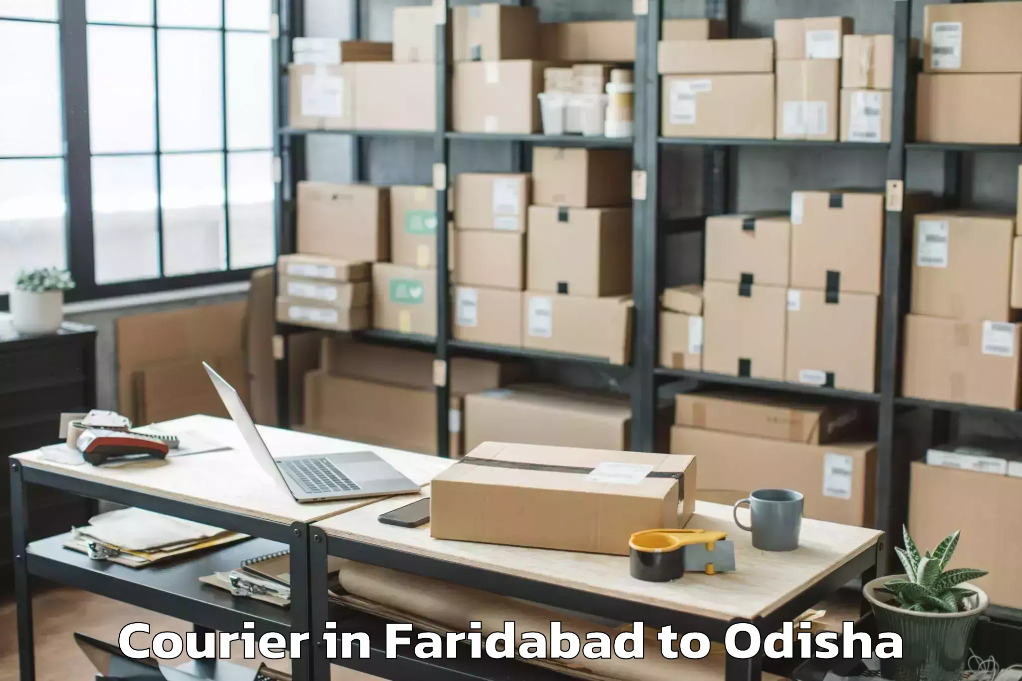 Book Faridabad to Khordha Courier Online